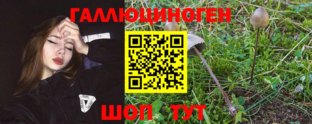 Псилоцибиновые грибы Magic Shrooms  Вход с VPN  Галлюциногенные грибы Psilocybine cubensis  Нурлат 
